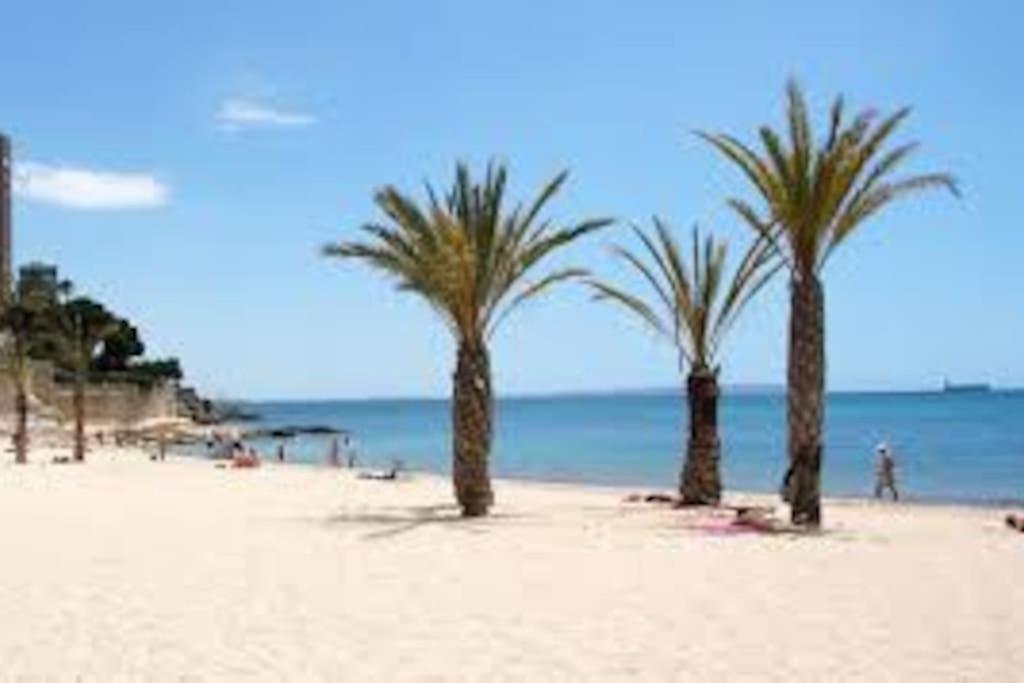 Mi Pequena Bahia Lejlighed Alicante Eksteriør billede